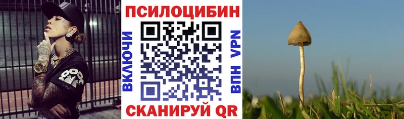 blacksprut зеркало  Искитим  Псилоцибиновые грибы мухоморы  хочу  